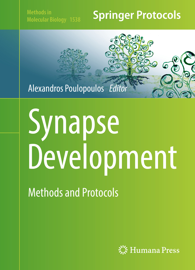 Book “Synapse Development” officially out today!